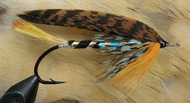 BDrumToucan
