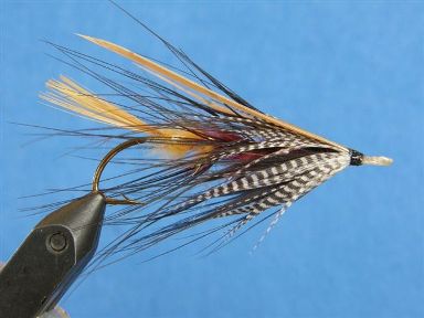 BFGledwing
