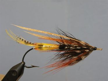 BHWaverley