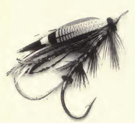 BWSandeman1