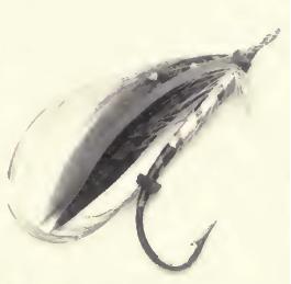 BWSandeman2