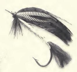 BWSandeman3