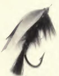BWSandeman7