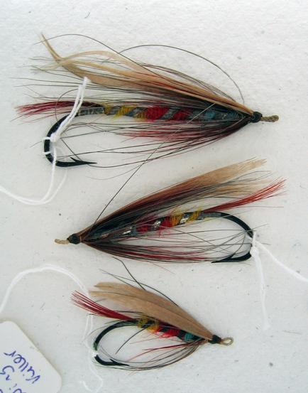BrownWingedKillercomp