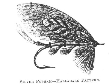 DRawSilverPopham