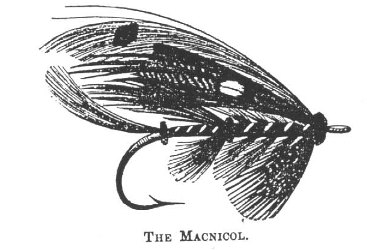 DrawMacNicol