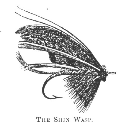 DrawShinWasp
