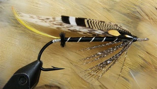 DrumGrouse2