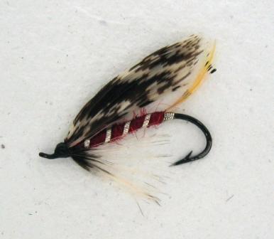 GHTiedbyBadgercomp