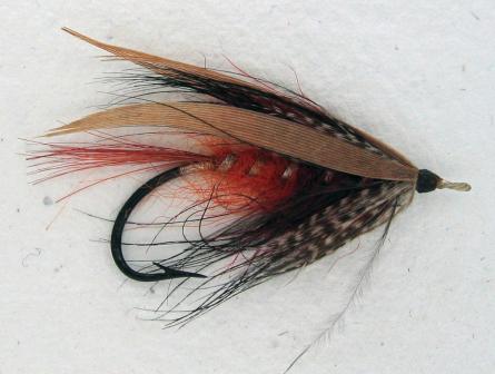Glentanacomp