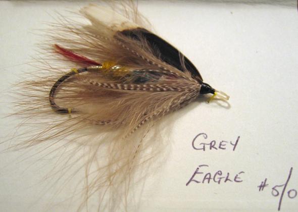 GreyEaglecomp