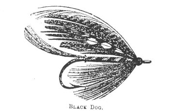 MallochBlackDog