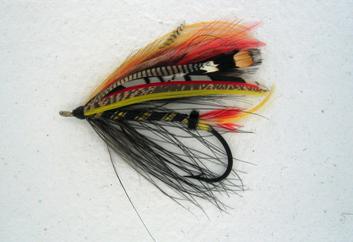 NDBlackDog