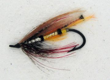 NDGHVintageTorrishDeeWing