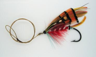 NDThorndyke
