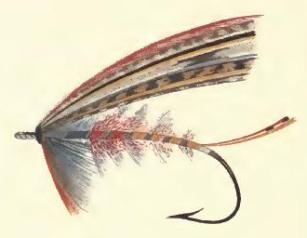 SandemanBransty