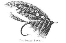 TheGreenParrot
