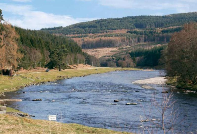 cairnton5