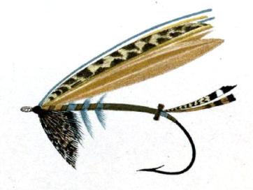csandeman14