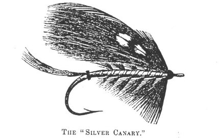 drawsilvercanary